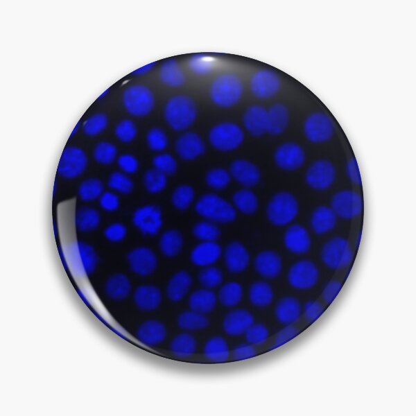 Item preview, Blue nuclei in epithelial cells. Nature inspired polka-dots! designed and sold by ArtByScience.