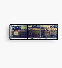 high pressure Canvas Print