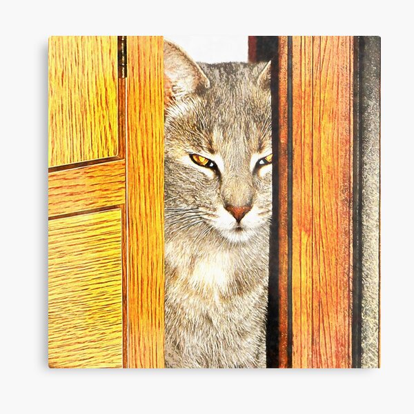 Looking Through From The Other Side Metal Print