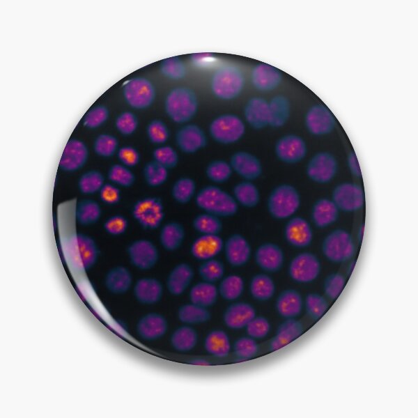 Item preview, Pink nuclei in epithelial cells. Nature inspired polka-dots! designed and sold by ArtByScience.