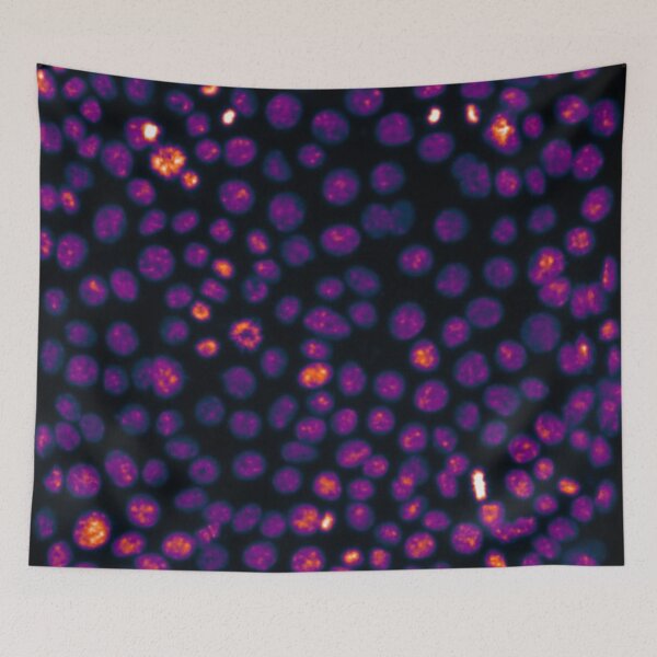 Item preview, Pink nuclei in epithelial cells. Nature inspired polka-dots! designed and sold by ArtByScience.