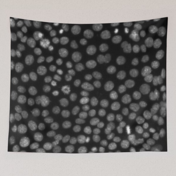 Item preview, Silver gray nuclei in epithelial cells. Nature inspired polka-dots! designed and sold by ArtByScience.