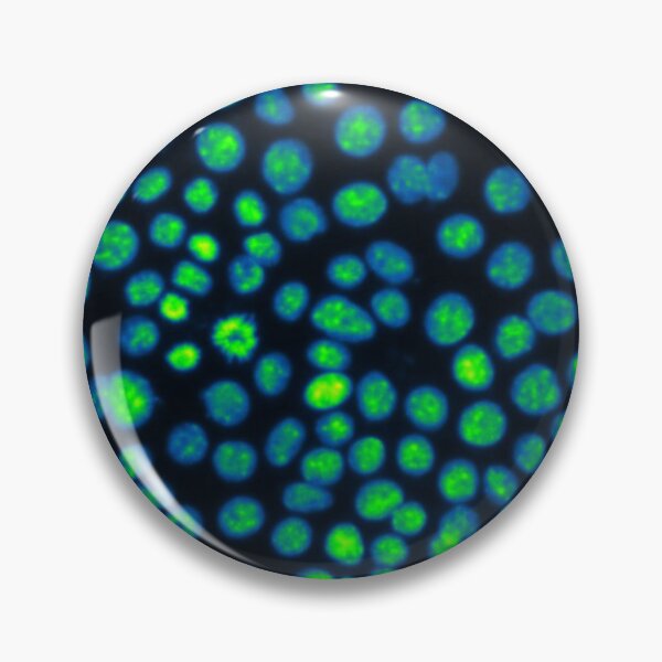 Item preview, Green nuclei in epithelial cells. Nature inspired polka-dots! designed and sold by ArtByScience.