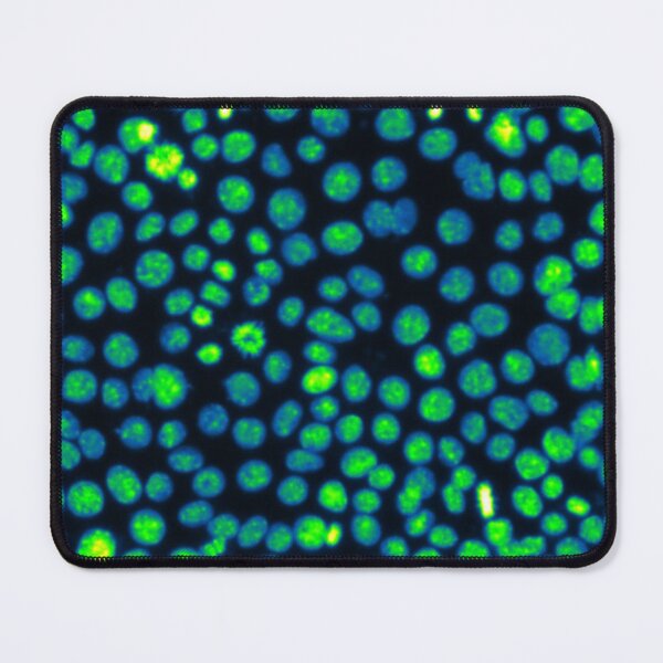 Item preview, Green nuclei in epithelial cells. Nature inspired polka-dots! designed and sold by ArtByScience.