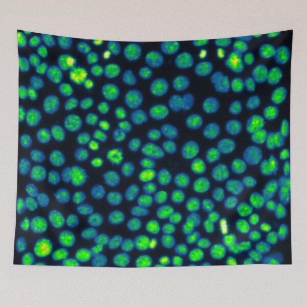 Item preview, Green nuclei in epithelial cells. Nature inspired polka-dots! designed and sold by ArtByScience.