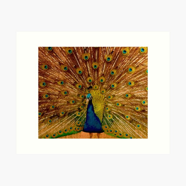 Best Peacock Acrylic Painting For Sale l Royal Thai Art