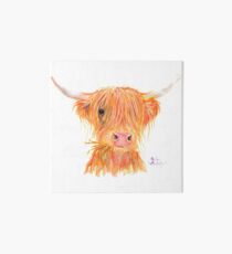 SCOTTISH HIGHLAND COW 'FERGUS' By Shirley MacArthur Art Board