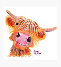 Highland Cow 'NESSIE' from Original Painting by Shirley MacArthur Photographic Print