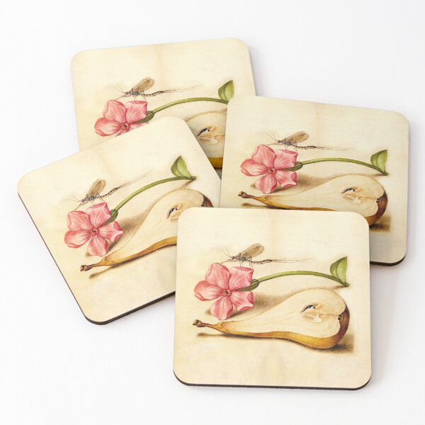 Item preview, Vintage Mayfly Red Campion Pear manuscript parchment designed and sold by aurielaki.