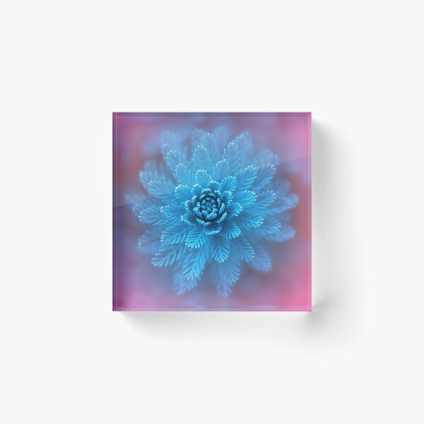 Item preview, follaje azul designed and sold by time-to-relax.
