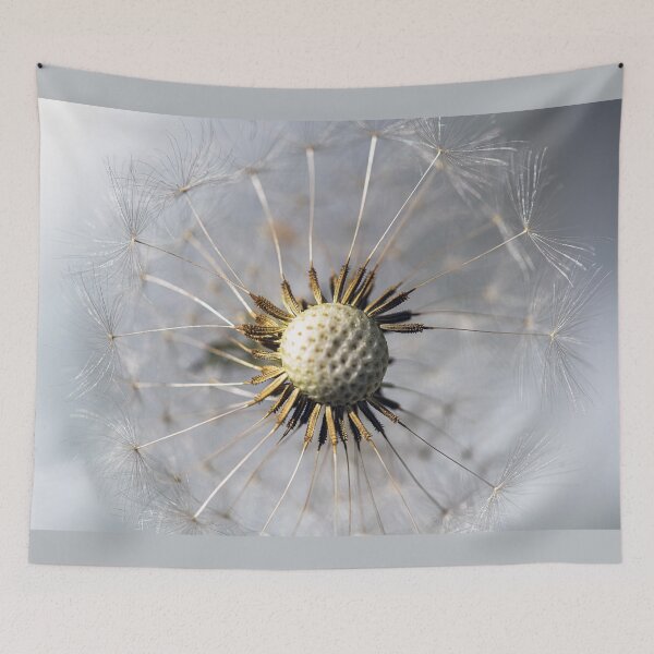 Item preview, Dandelion Detail Close Up designed and sold by imaginethis.