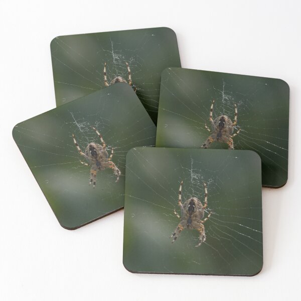 Item preview, Garden Wide Web designed and sold by LPYLPhotography.