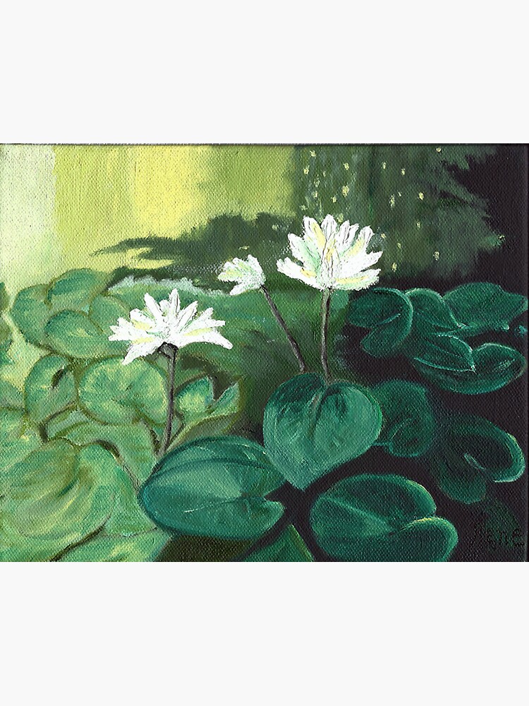 Lillies in the Pond by irenebernhardt