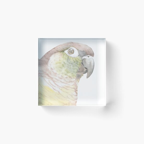 Item preview, Green-cheeked parakeet watercolor portrait bird parrot v2 designed and sold by L'Atelier Oranjade.