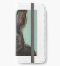 Clover iPhone Wallet/Case/Skin