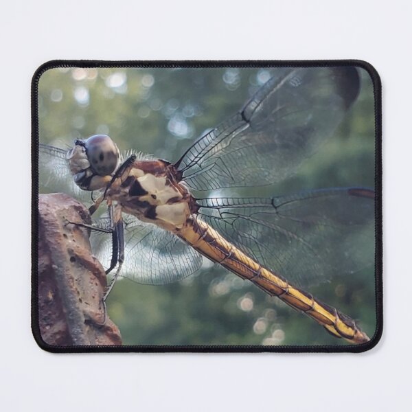 Item preview, Dragonfly designed and sold by SarahVGarrett.