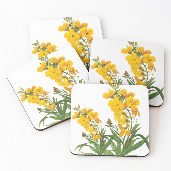 Item preview, Vintage yellow flowers botanical illustration by P.J. Redoute. designed and sold by naturematters.