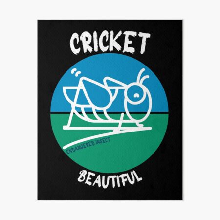 Cricket (insect) - Wikipedia