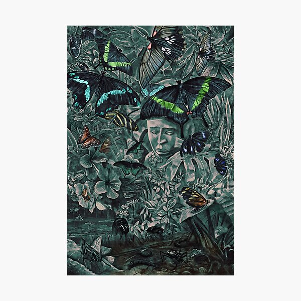 Butterflies in Stratford Photographic Print