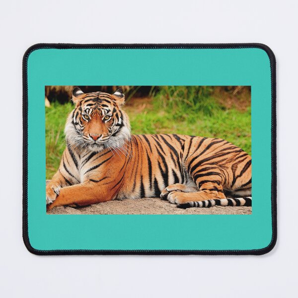 Artikelvorschau, Großer Tiger entworfen und verkauft von Purnima2002.
