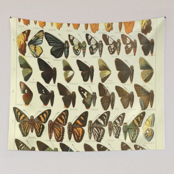 Item preview, Butterfly Poster designed and sold by kaylacraft3.