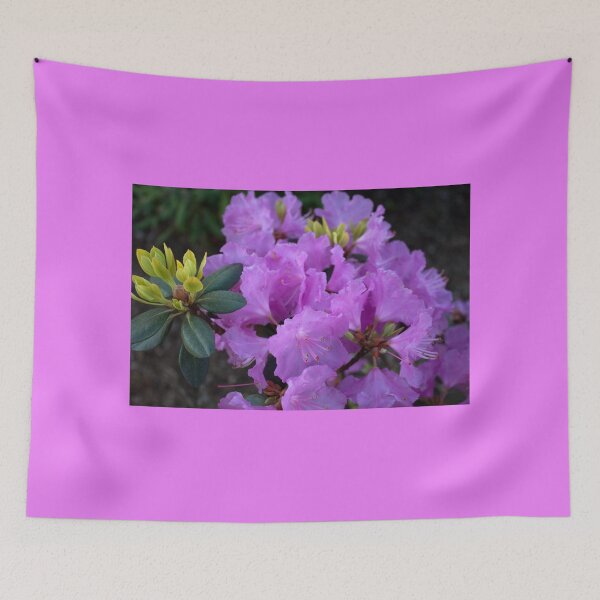 Item preview, spring purple azalea flowers. floral nature photography. designed and sold by naturematters.