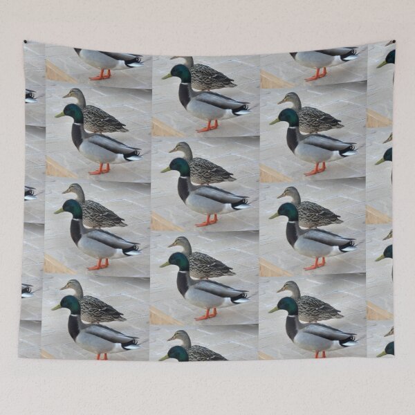 Item preview, VISITING SNOWBIRDS FROM CANADA designed and sold by JAYMILO.