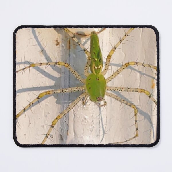Item preview, Green Lynx Spider  designed and sold by SarahVGarrett.