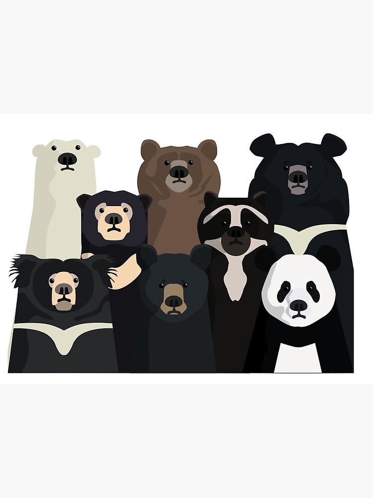 Bears of the world