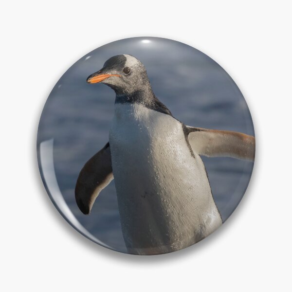 Item preview, Gentoo Penguin designed and sold by Glenn Welch.
