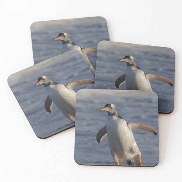 Item preview, Gentoo Penguin designed and sold by Glenn Welch.