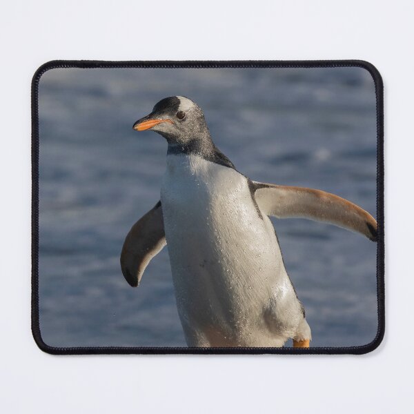 Item preview, Gentoo Penguin designed and sold by Glenn Welch.