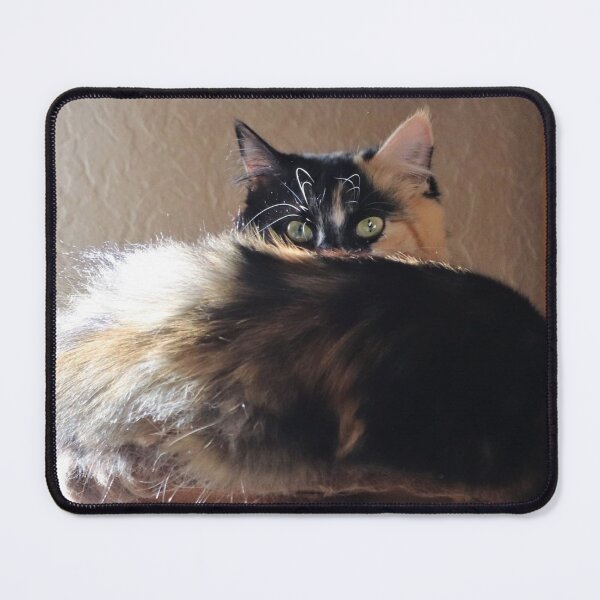 Item preview, Rocky Raccoon designed and sold by Ladymoose.