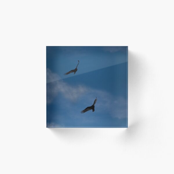Soaring Acrylic Block