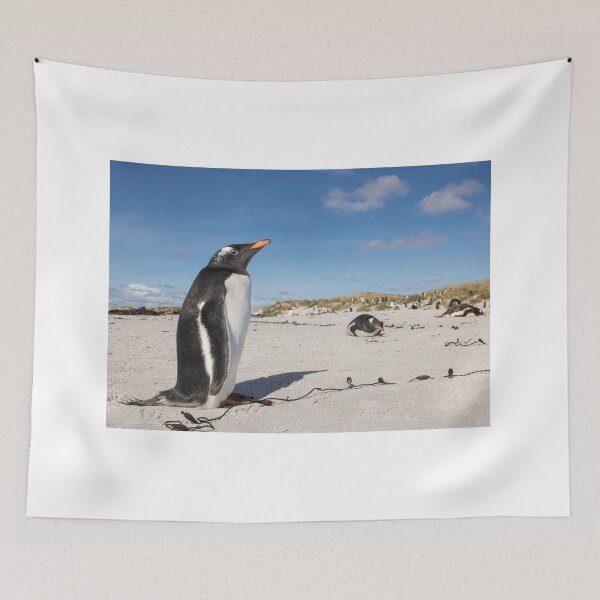 Item preview, Gentoo Penguin on beach designed and sold by Glenn Welch.
