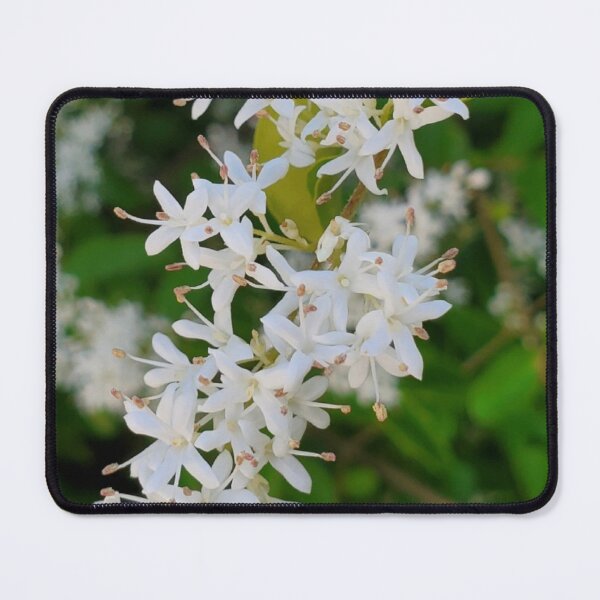 Item preview, White Cluster Flowers designed and sold by SarahVGarrett.