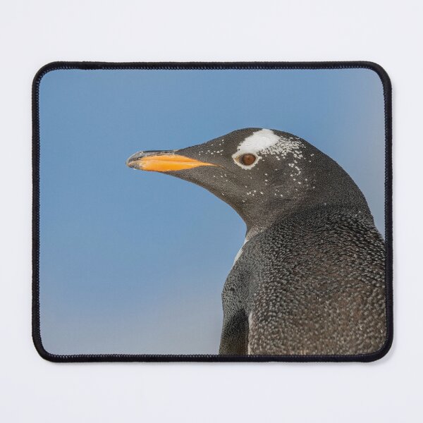 Item preview, Gentoo Penguin designed and sold by Glenn Welch.
