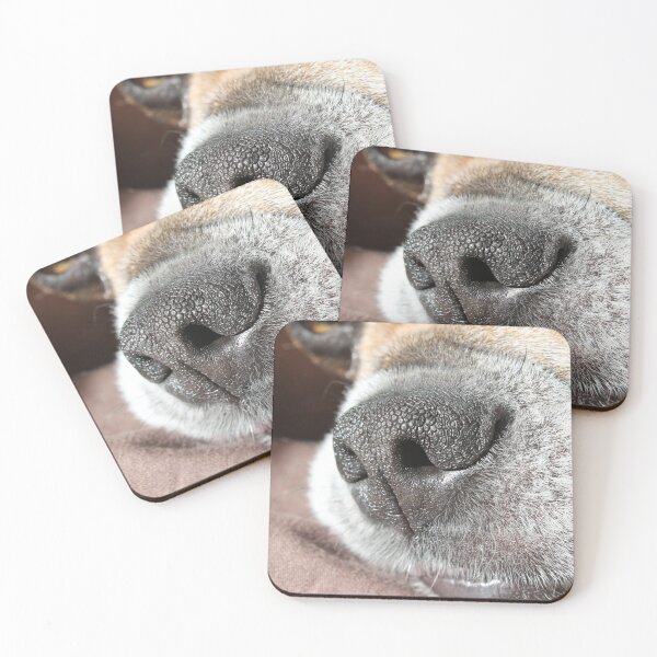 Item preview, The nose knows designed and sold by SariePhotograph.
