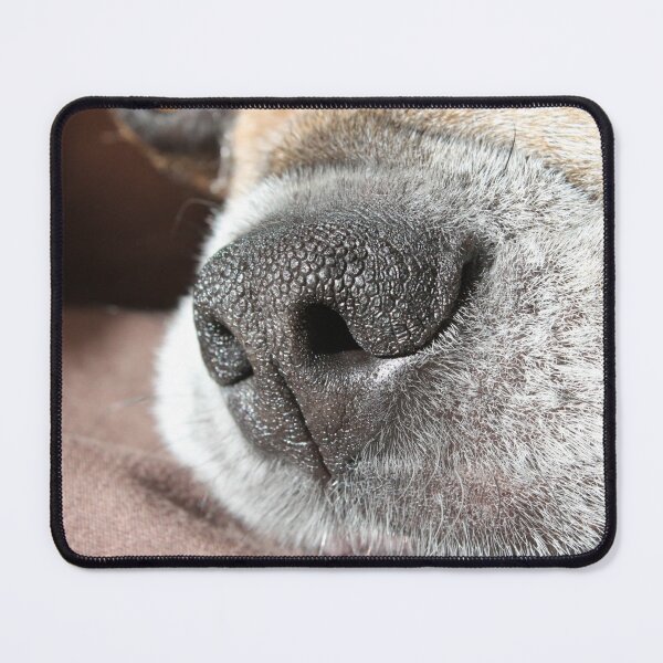 Item preview, The nose knows designed and sold by SariePhotograph.