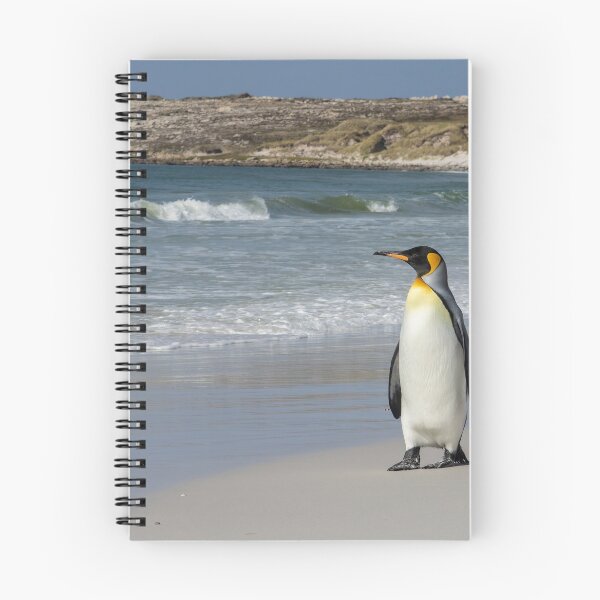 Item preview, KIng Penguin  designed and sold by Glenn Welch.