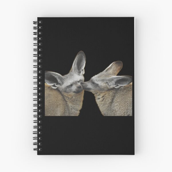 Item preview, Bat Eared Foxes  designed and sold by andrew82984.