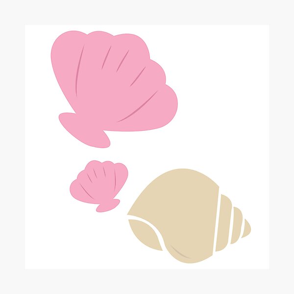 Item preview, Shells designed and sold by whiteasters.