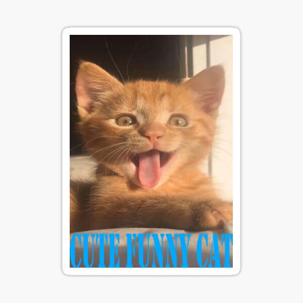 "Is your cat giving you that funny look again?" Sticker for Sale by