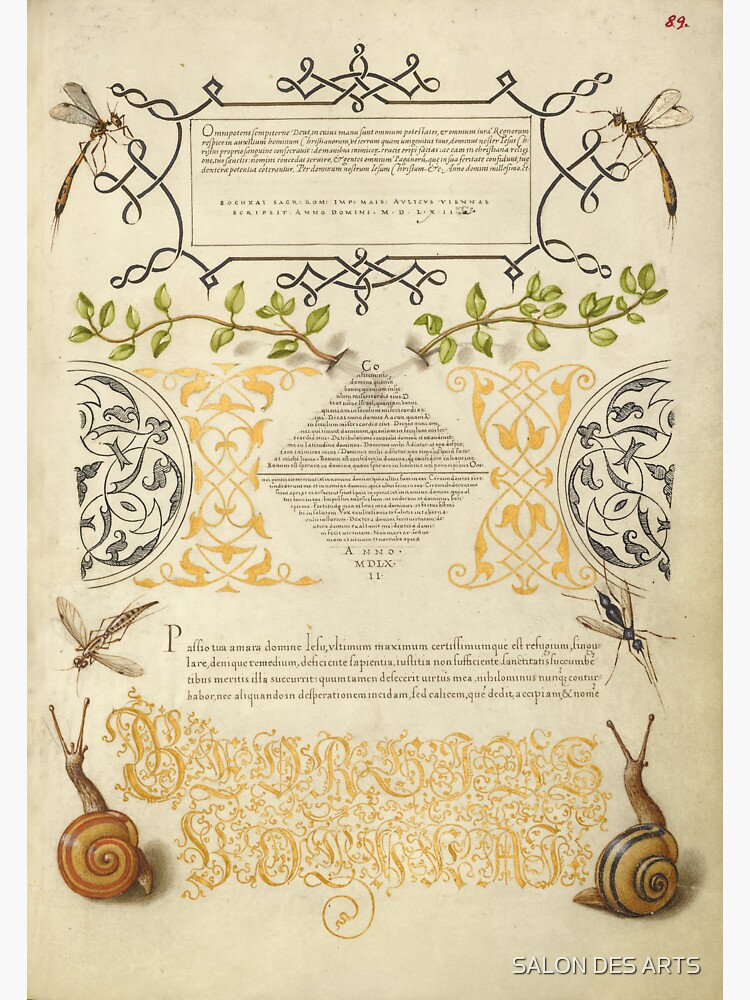 "Plant and Snails (15611596) Medieval Illuminated Manuscript