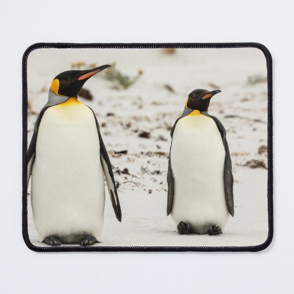 Item preview, King Penguins designed and sold by Glenn Welch.