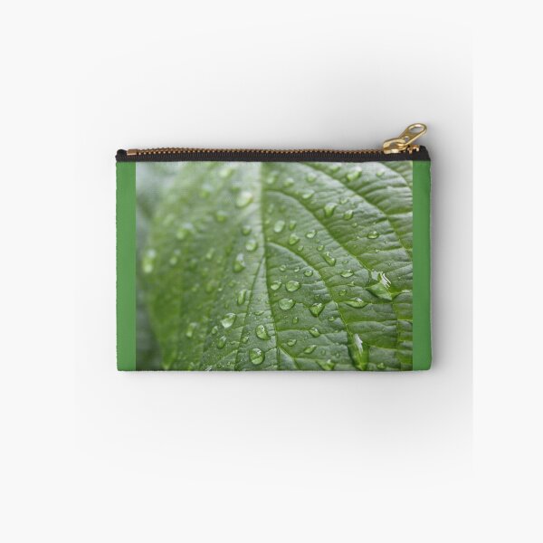 Item preview, rain drops on dogwood green leaf. nature photography. refreshing! designed and sold by naturematters.
