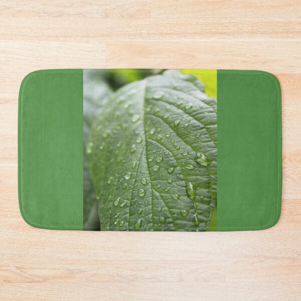 Item preview, rain drops on dogwood green leaf. nature photography. refreshing! designed and sold by naturematters.