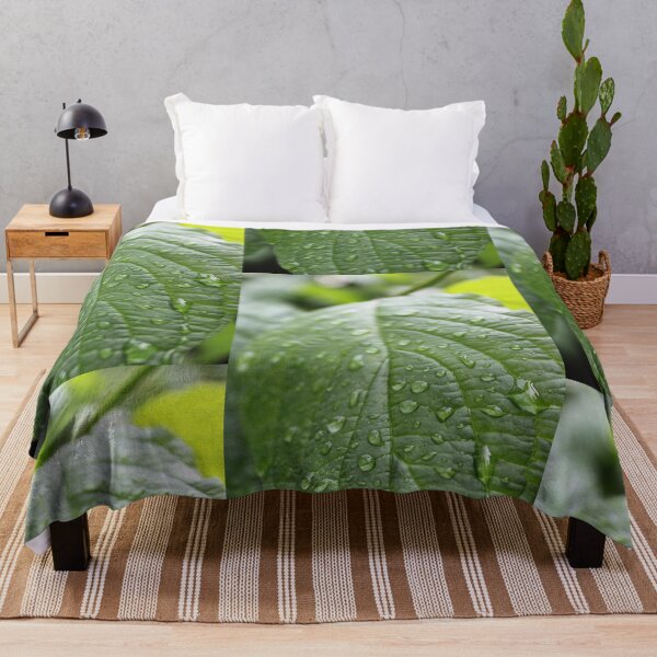 Item preview, rain drops on dogwood green leaf. nature photography. refreshing! designed and sold by naturematters.