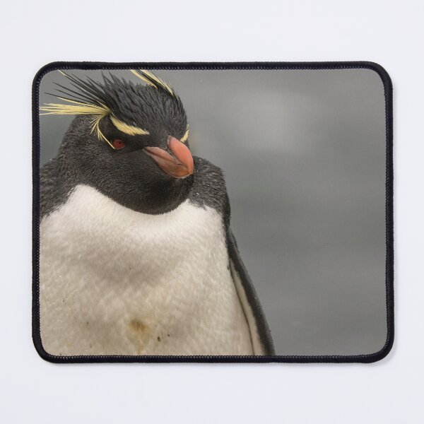 Item preview, Rockhopper Penguin designed and sold by Glenn Welch.
