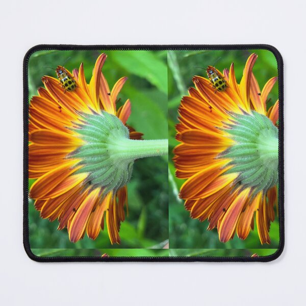 Item preview, Lucky Ladybug on Wildflower designed and sold by TherapeuticNest.